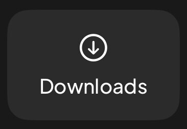 The Downloads section in the library, where albums are kept for offline playback.